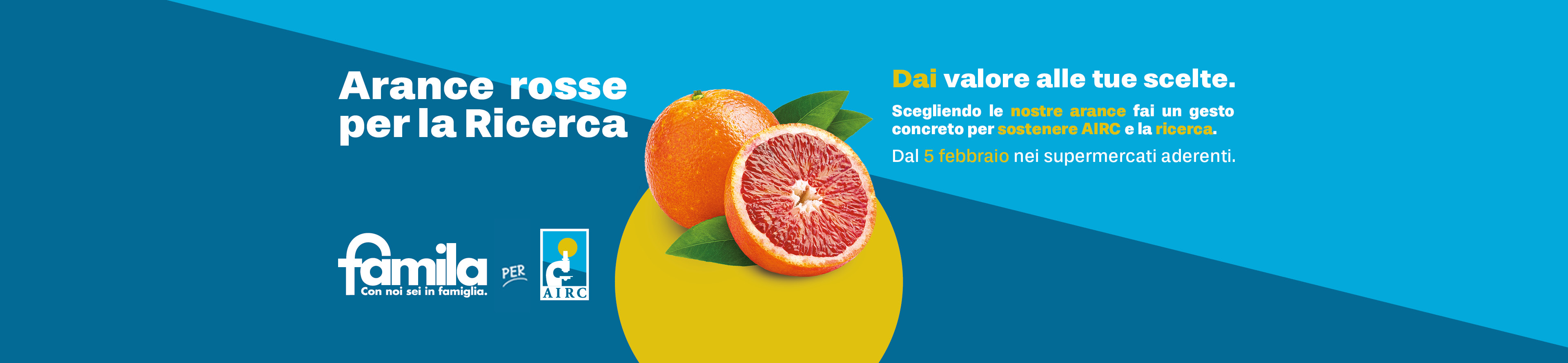 3840x890 Banner Airc 26