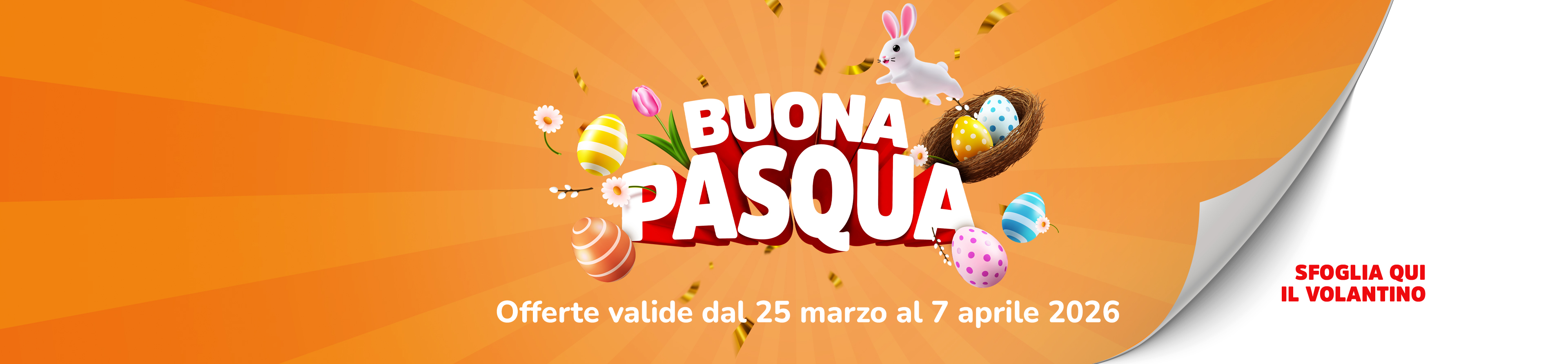 Bannerweb Desktop (1)